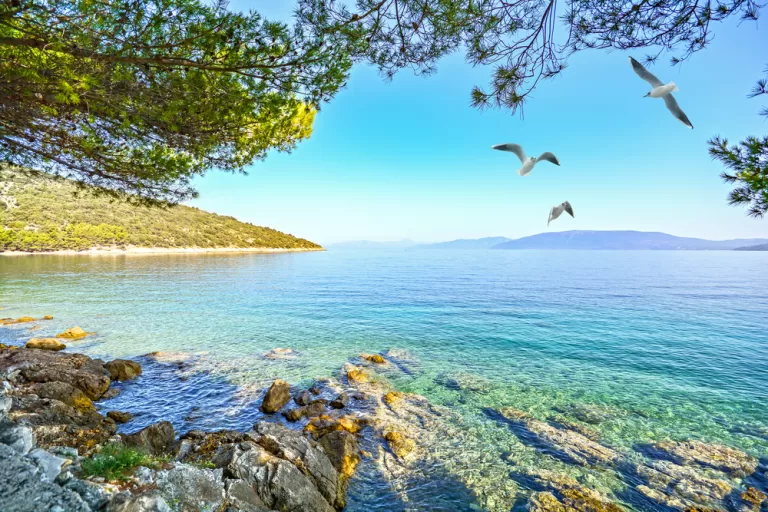 Cres: Croatia’s Island of Nature and Serenity