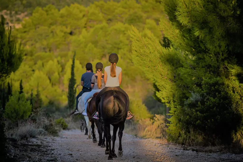 Horseback Riding Adventures in the Heart of Croatia