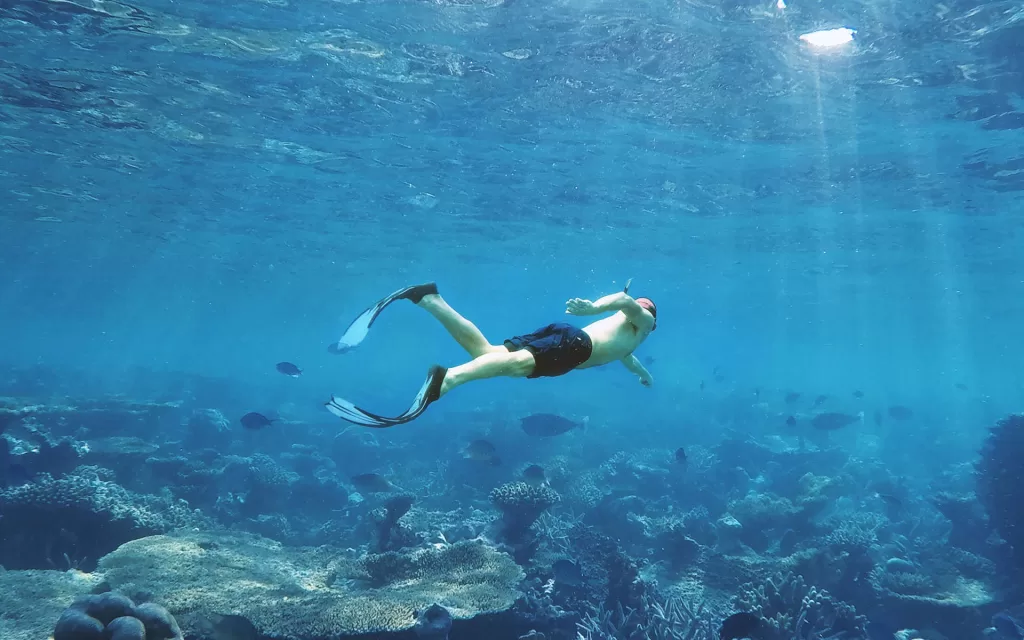 Snorkeling Adventures in Croatia’s Waters