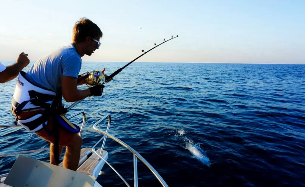 Sport Fishing in Croatia: A Mediterranean Angler’s Paradise