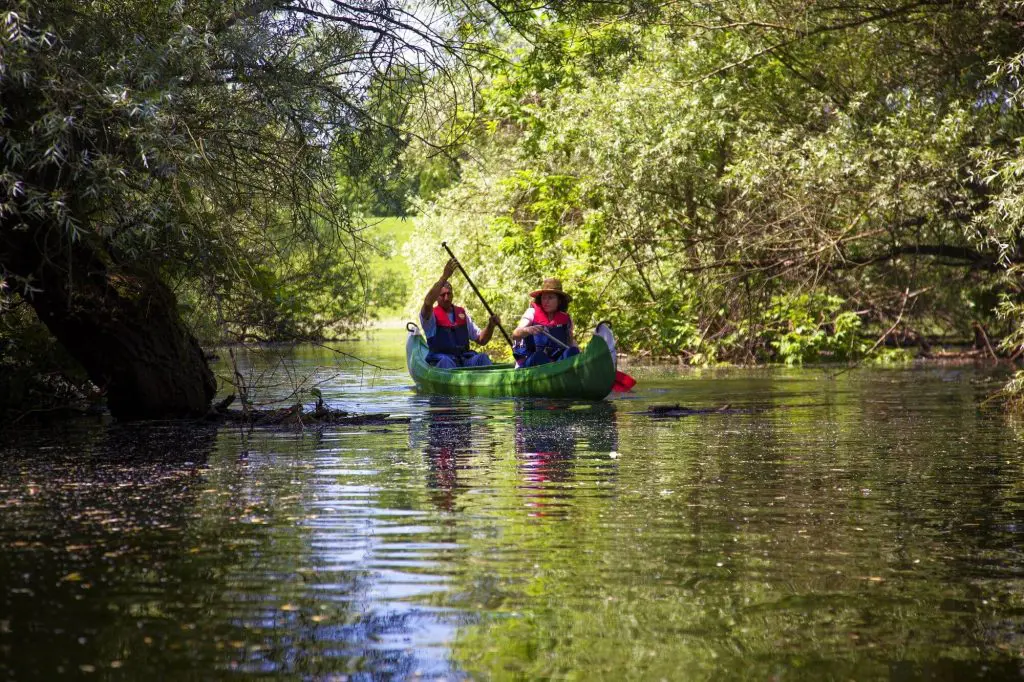 Nature park Kopački rit Osijek Slavonia Croatia